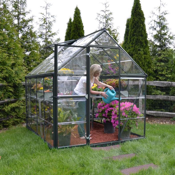 Palram - Canopia 6' x 8' Harmony Grey Polycarbonate Greenhouse