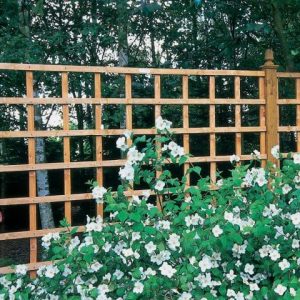 Forest 6' x 1' Heavy Duty Square Garden Trellis Fence Panel (1.83m x 0.3m)