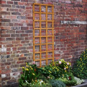 Hartwood 6' x 2' Heavy Duty Traditional Trellis