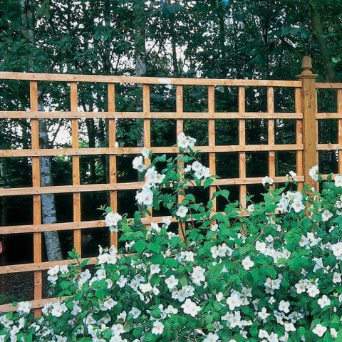 Forest 6' x 2' Heavy Duty Square Garden Trellis Fence Panel (1.83m x 0.61m)