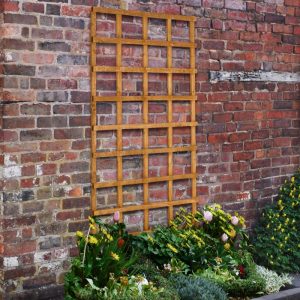 Hartwood 6' x 3' Heavy Duty Traditional Trellis