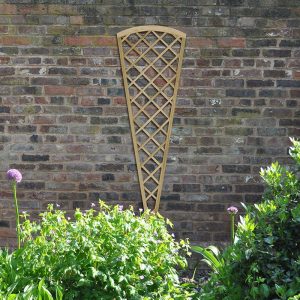 6' x 2' Forest Hidcote Decorative Diamond Lattice Fan Trellis (1.8m x 0.61m)