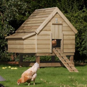 Rowlinson 5' x 4' Pressure Treated Shiplap Chicken Coop