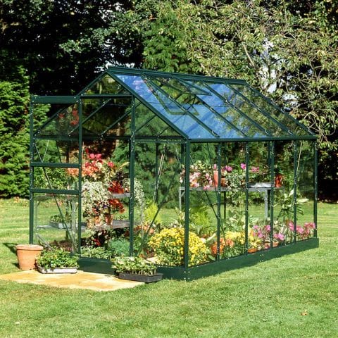 6'4 x 10'6 Green Frame Halls Popular 106 Greenhouse (1.93 x 3.19m)