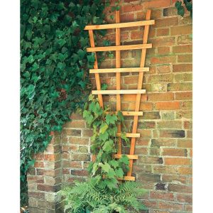 Forest 2' x 6' Decorative Fan Wall Trellis (0.66m x 1.83m)