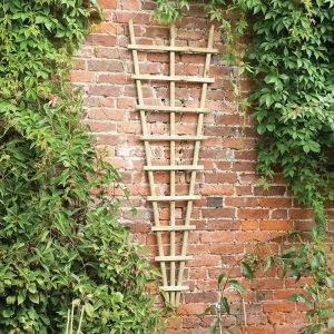 6' x 2' Forest Traditional Pressure Treated Fan Trellis (1.8m x 0.6m)