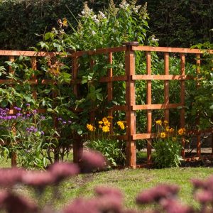 Rowlinson 6' x 6' Traditional Trellis Fence Panel