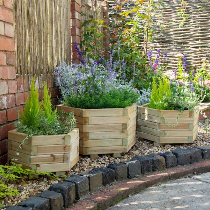 Hartwood Set of Three Hexagonal Planters